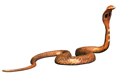 Detail Png Snake Nomer 43