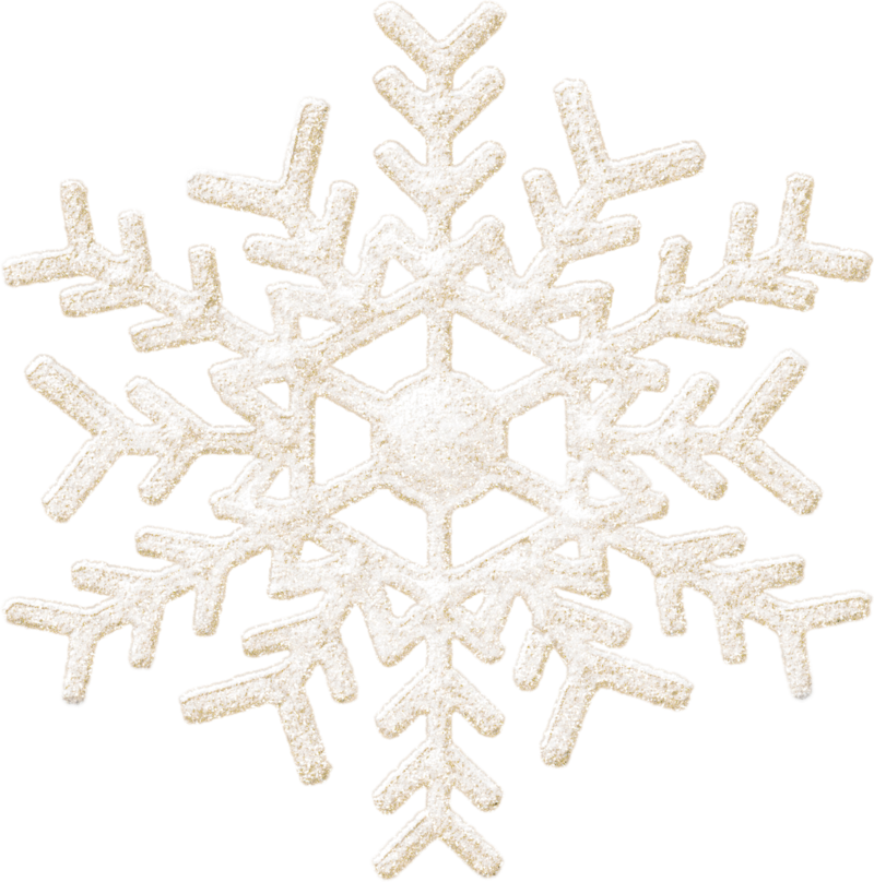 Detail Png Snowflake Nomer 21