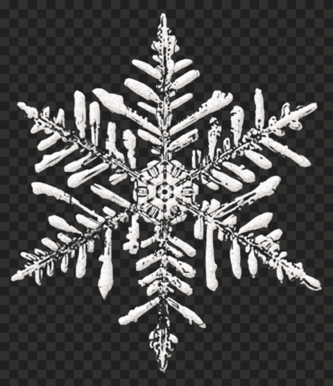 Detail Png Snowflake Nomer 42