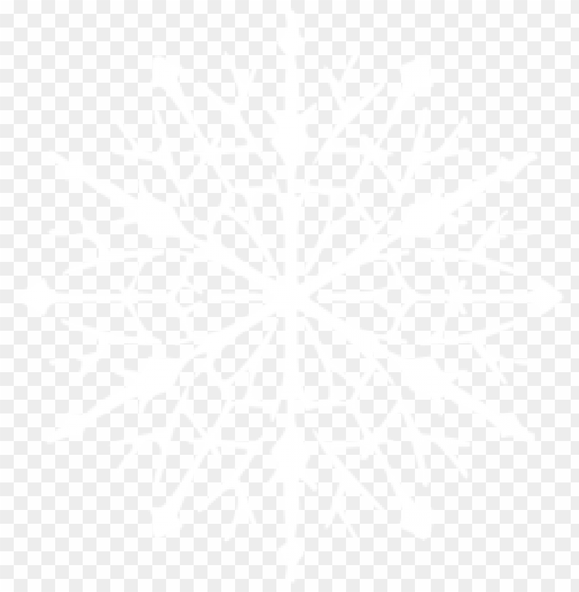 Detail Png Snowflakes Nomer 22