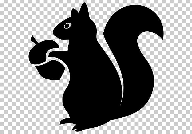 Detail Png Squirrel Nomer 31