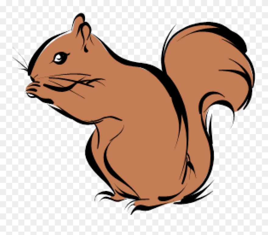 Detail Png Squirrel Nomer 32