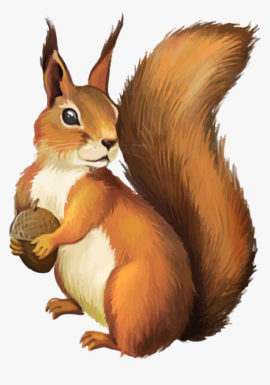 Detail Png Squirrel Nomer 36