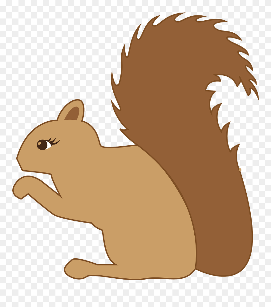 Detail Png Squirrel Nomer 40