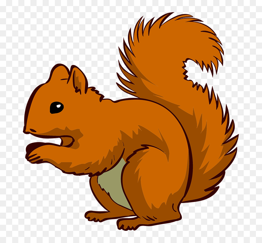 Detail Png Squirrel Nomer 45