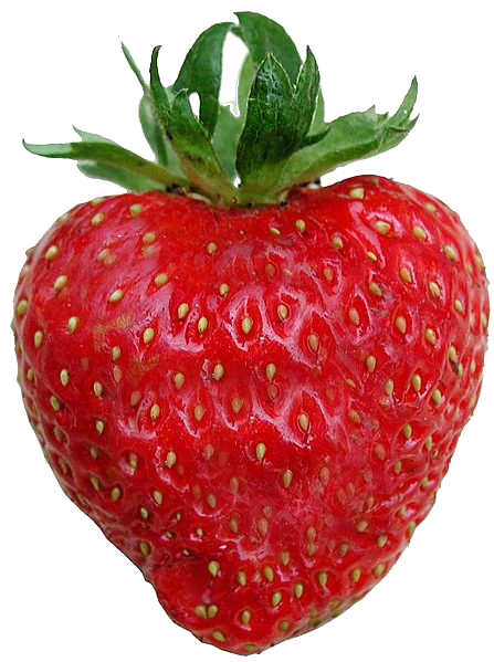 Detail Png Strawberry Nomer 36