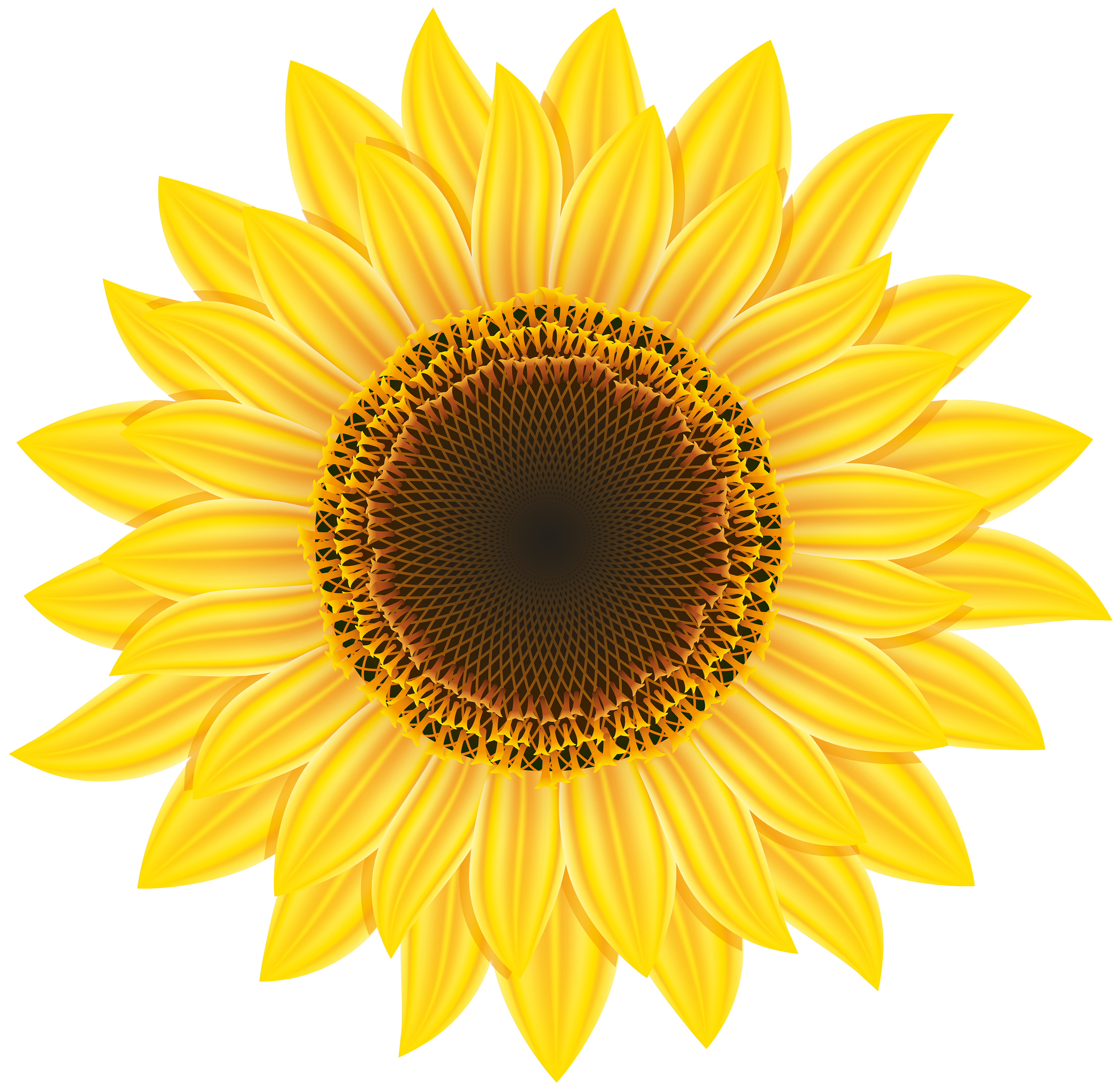Detail Png Sunflower Nomer 10