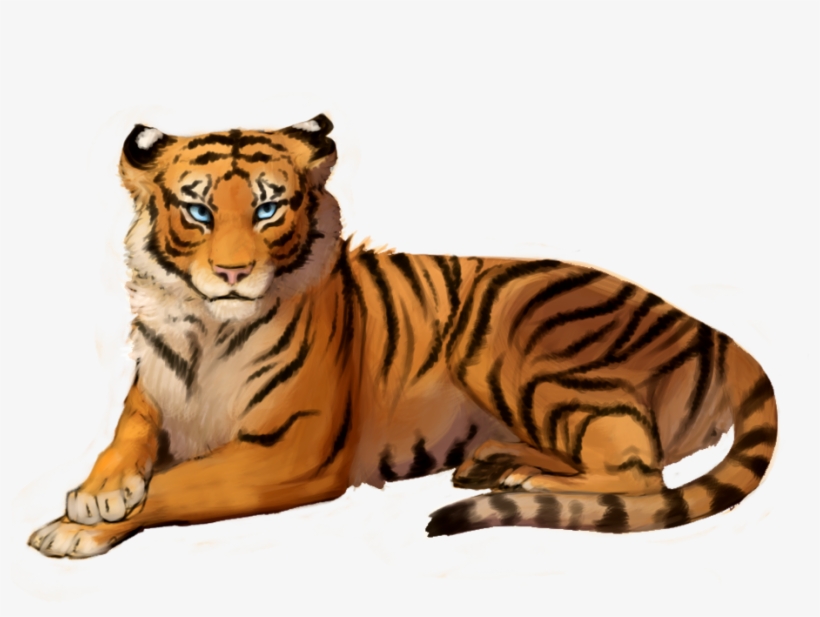 Detail Png Tiger Nomer 37