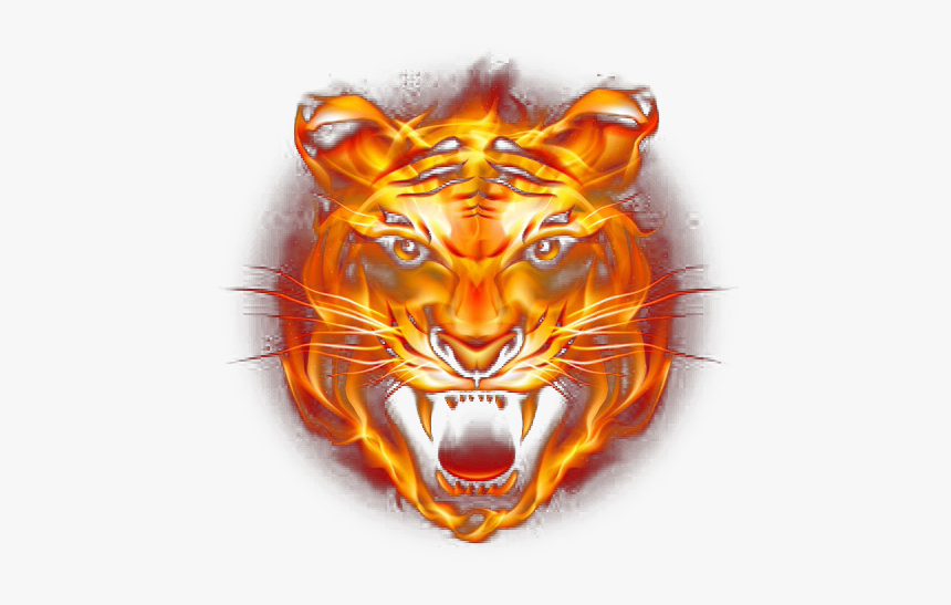 Detail Png Tiger Nomer 44