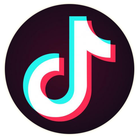 Detail Png Tiktok Logo Nomer 7