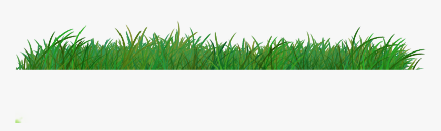 Detail Png Transparente Nomer 26