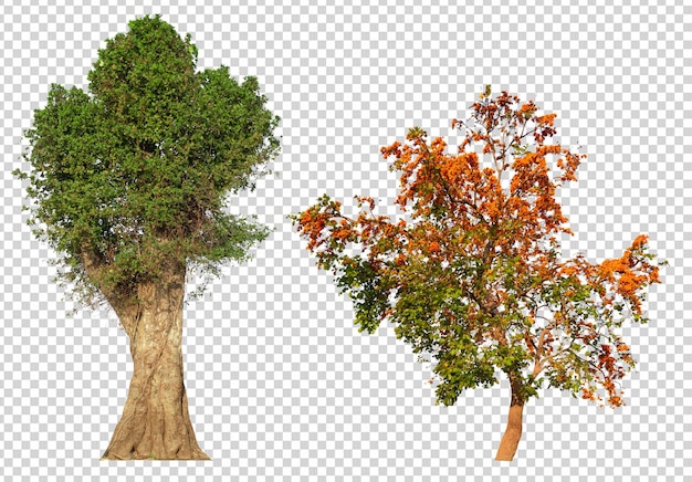 Detail Png Tree Nomer 24