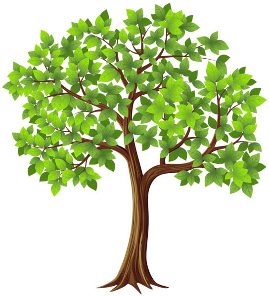 Detail Png Tree Nomer 48