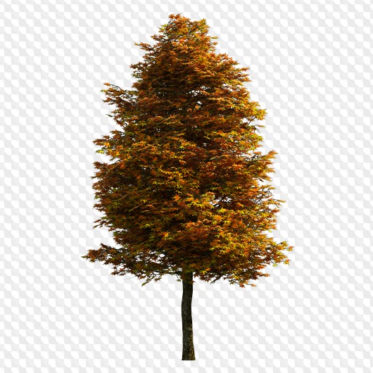 Detail Png Tree Background Nomer 11