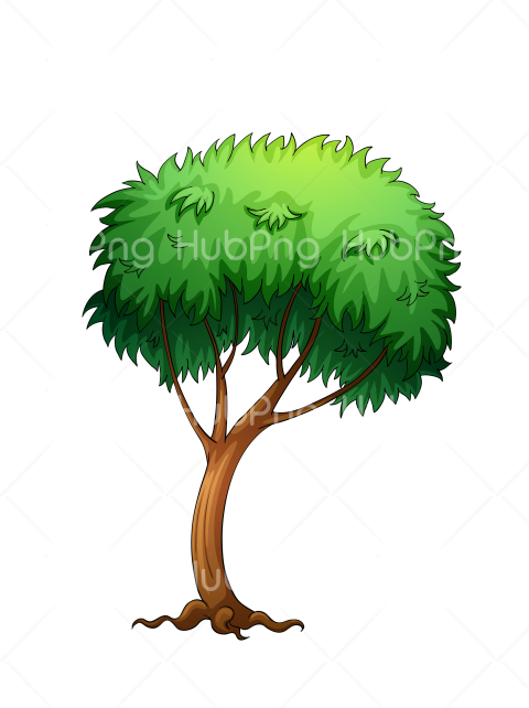 Detail Png Tree Background Nomer 32