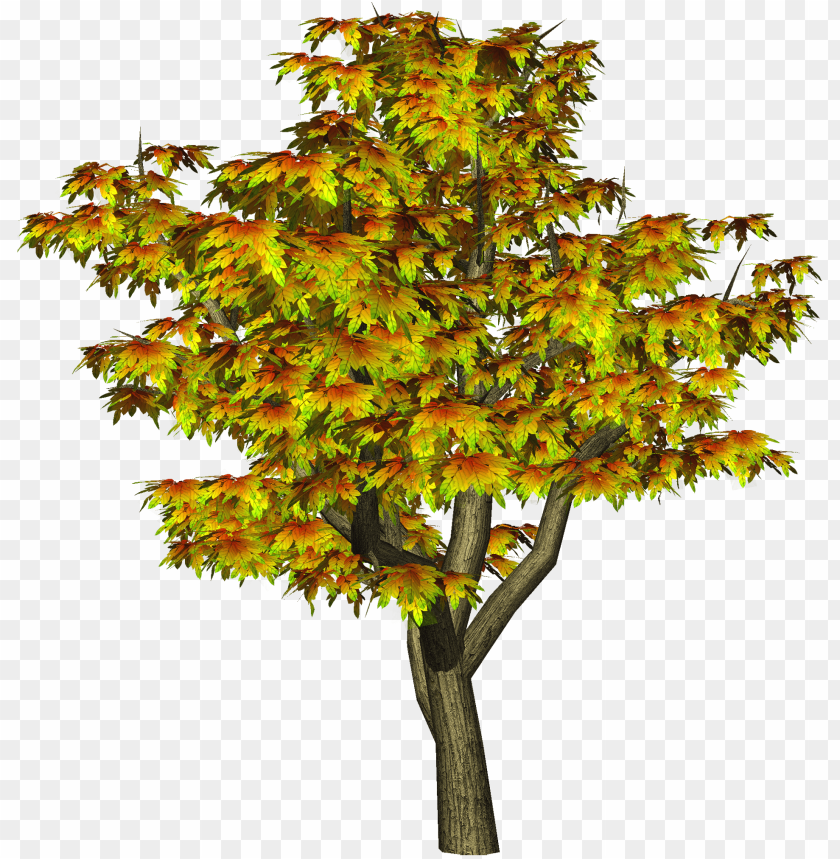 Detail Png Tree Background Nomer 37