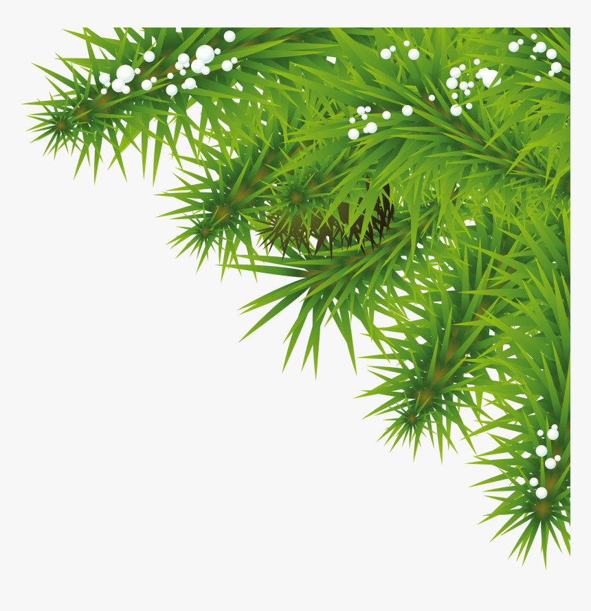 Detail Png Tree Background Nomer 8