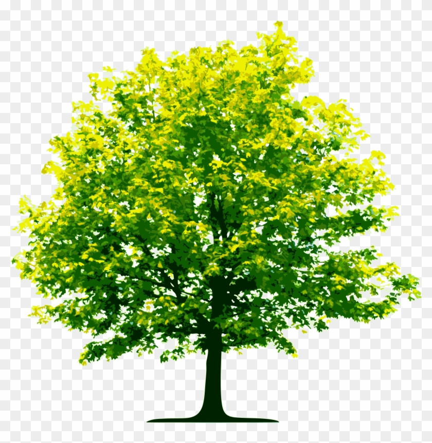 Detail Png Tree Com Nomer 4