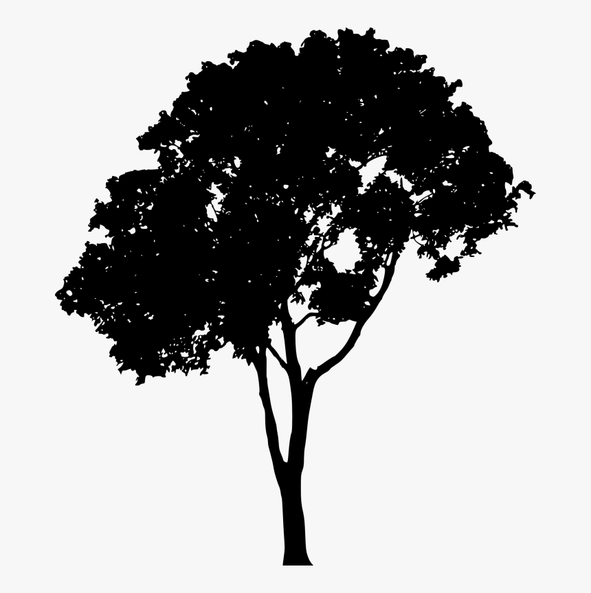 Detail Png Tree Com Nomer 35