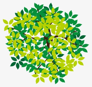 Detail Png Tree Com Nomer 42