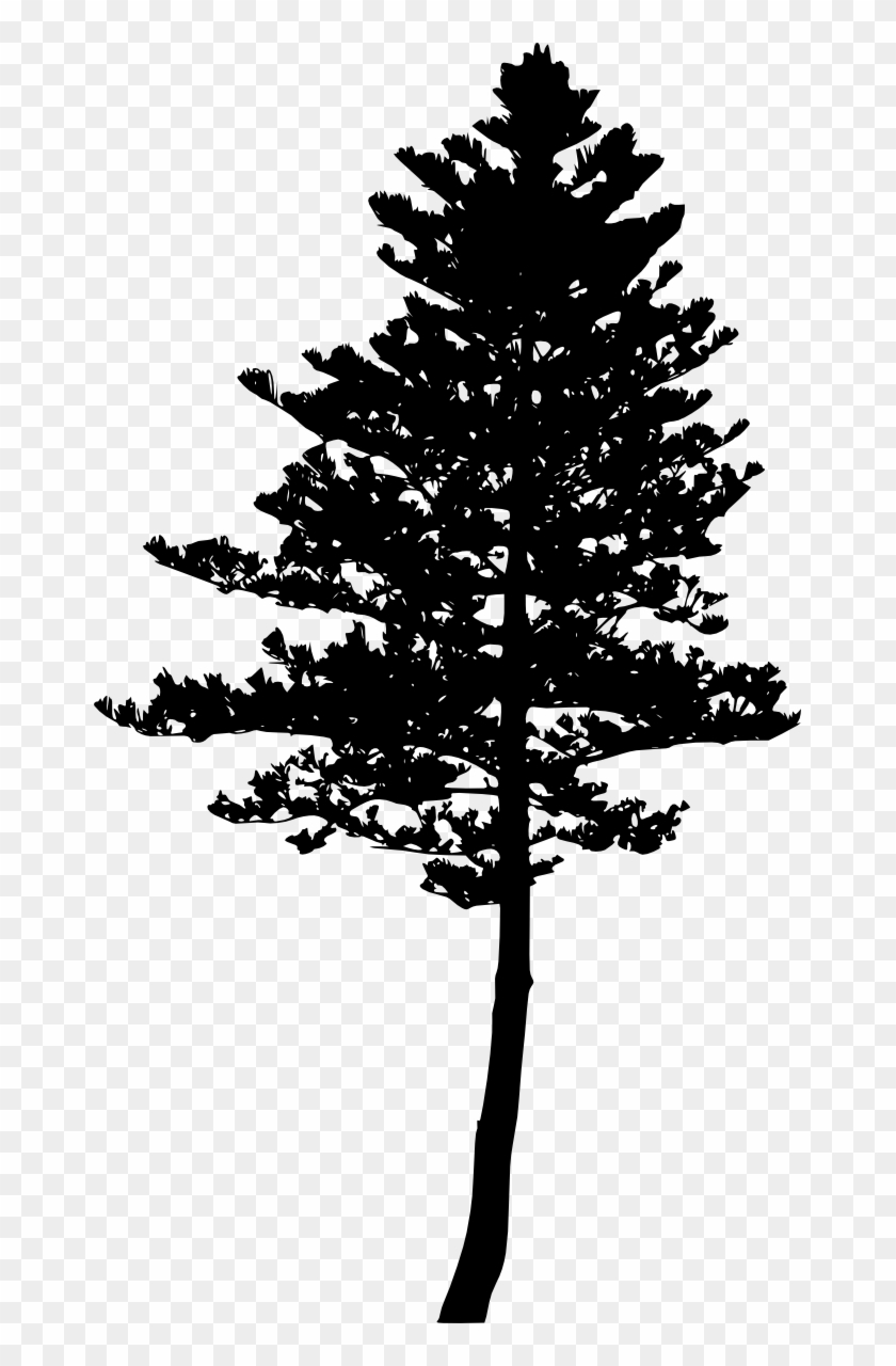 Detail Png Tree Free Nomer 35