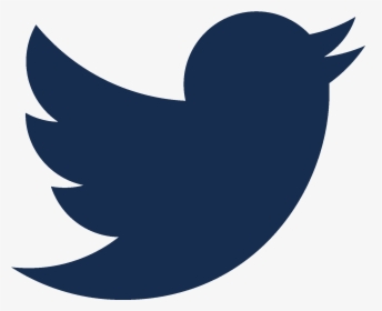 Detail Png Twitter Logo Nomer 17