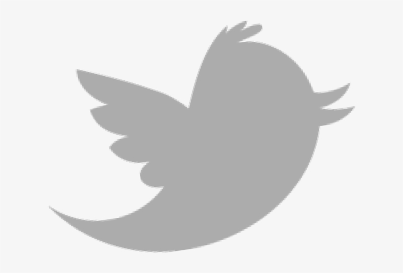 Detail Png Twitter Logo Nomer 43