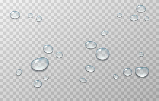 Detail Png Water Drops Nomer 32