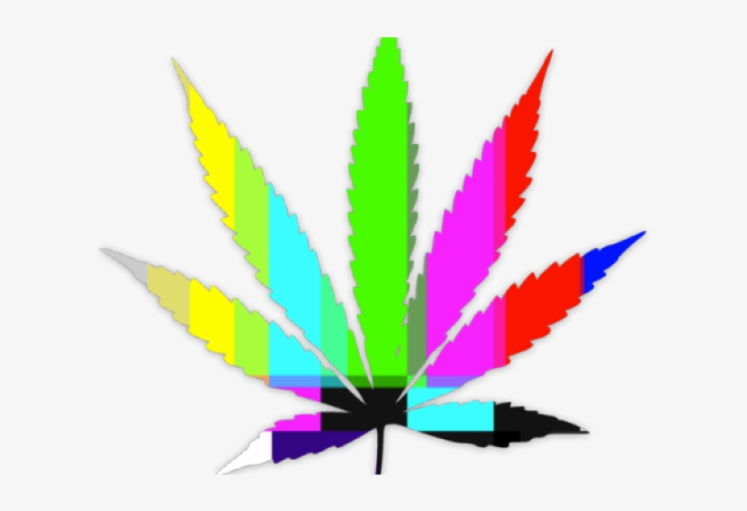 Detail Png Weed Leaf Nomer 41