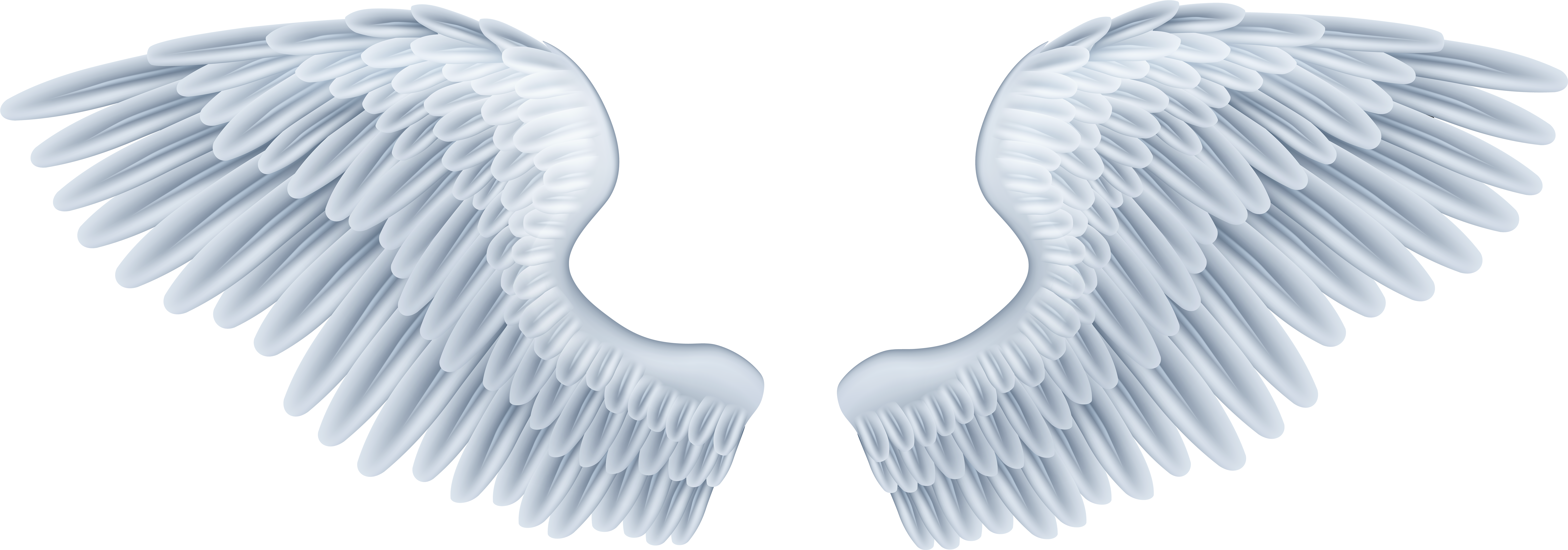 Detail Png Wings Nomer 5