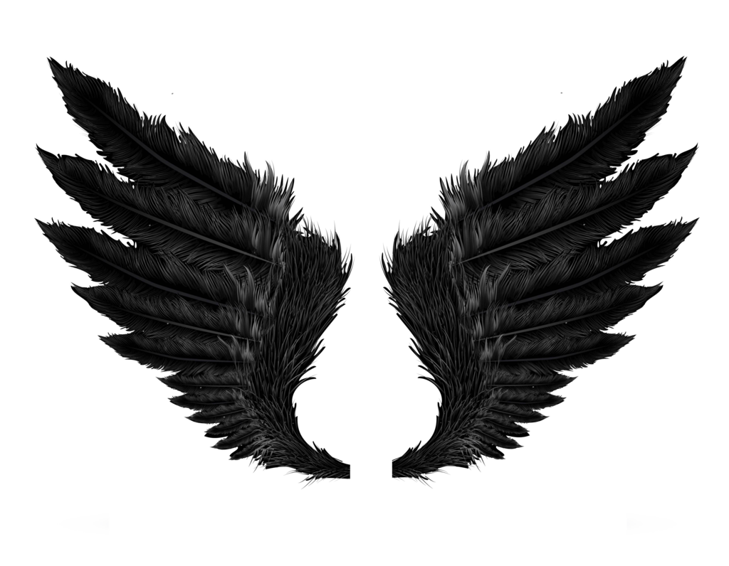 Detail Png Wings Nomer 49