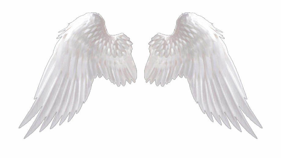 Detail Png Wings Nomer 7