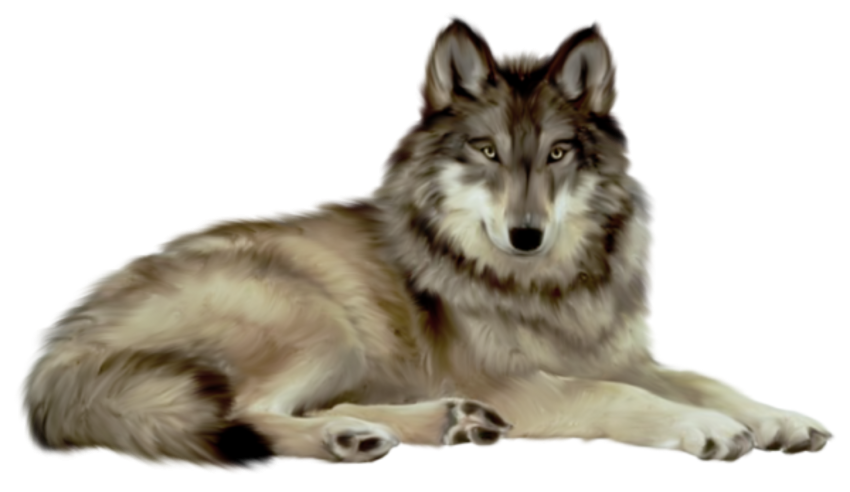 Detail Png Wolf Nomer 2