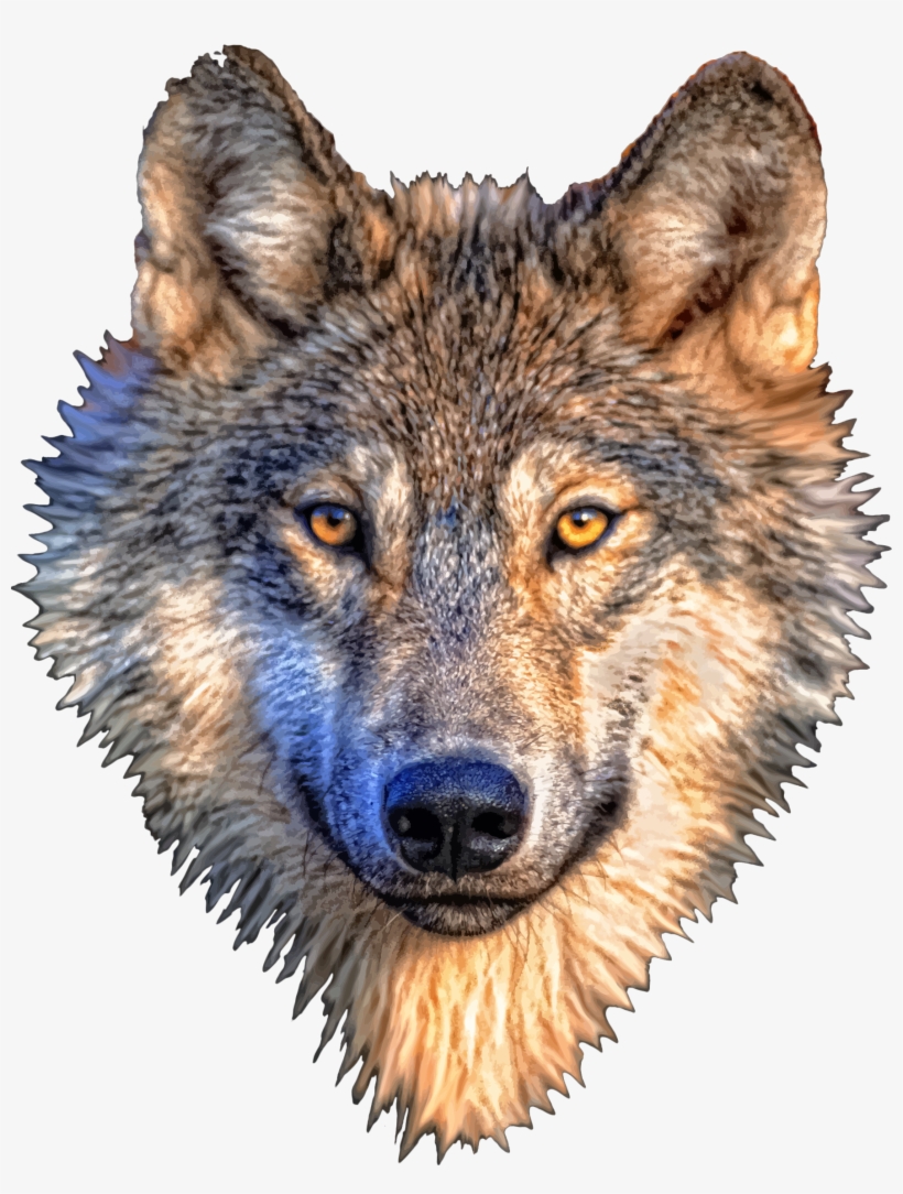 Detail Png Wolf Nomer 33