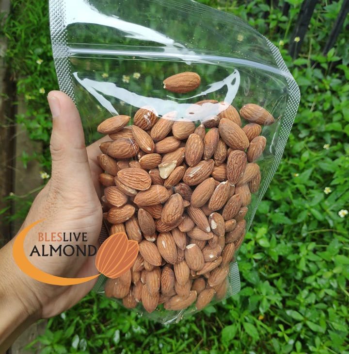 Detail Pohon Almond Di Indonesia Nomer 31
