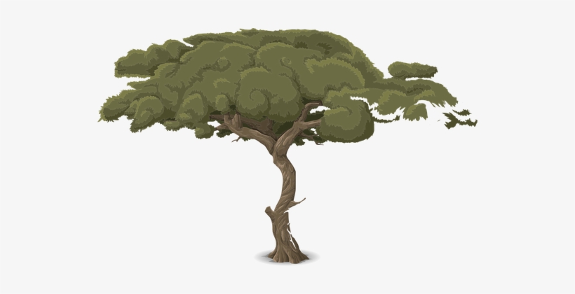 Detail Pohon Animasi Png Nomer 40