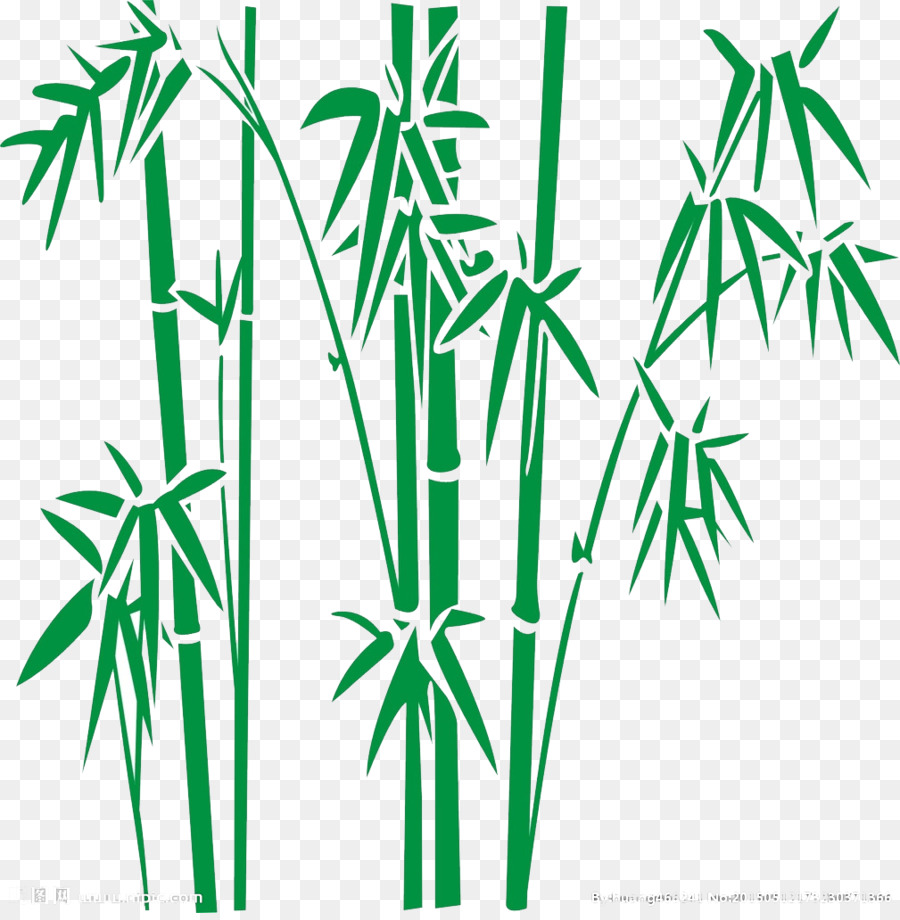 Detail Pohon Bambu Vector Nomer 20