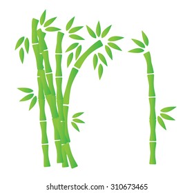 Detail Pohon Bambu Vector Nomer 34