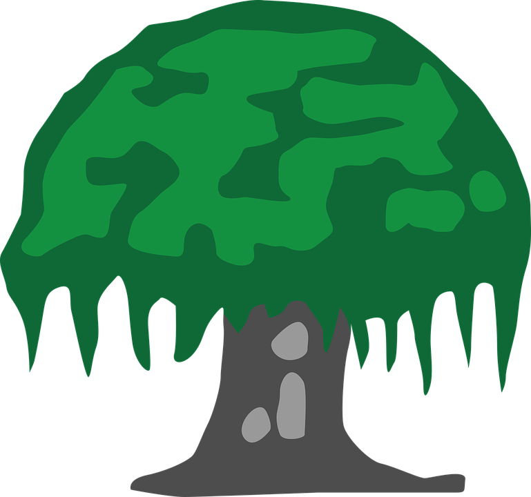 Pohon Beringin Vector Png - KibrisPDR