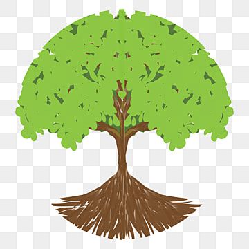 Detail Pohon Beringin Vector Png Nomer 2