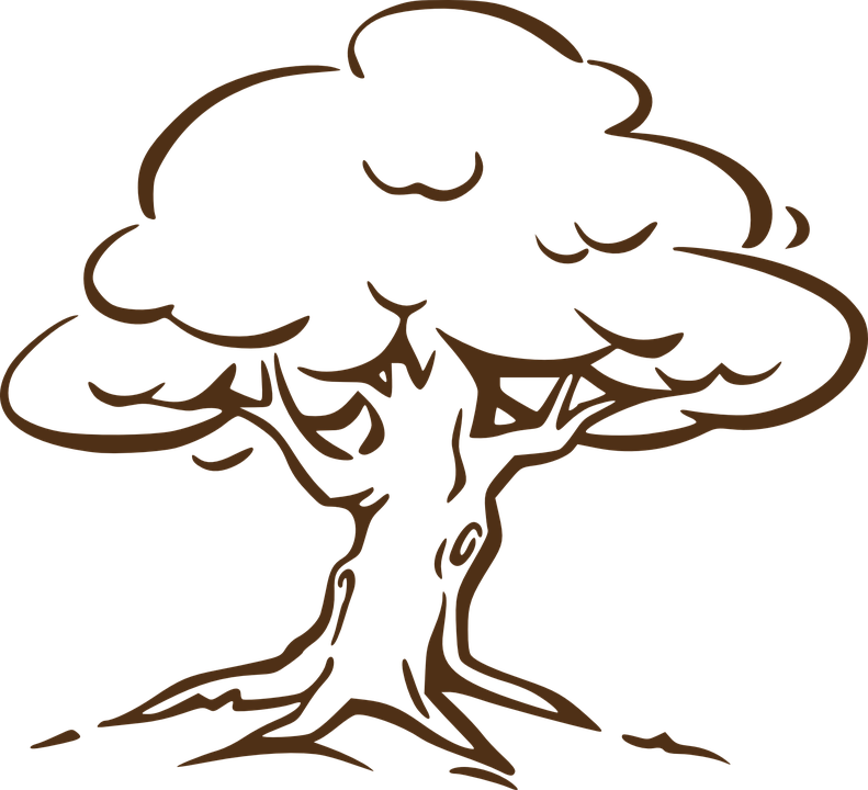 Detail Pohon Beringin Vector Png Nomer 18