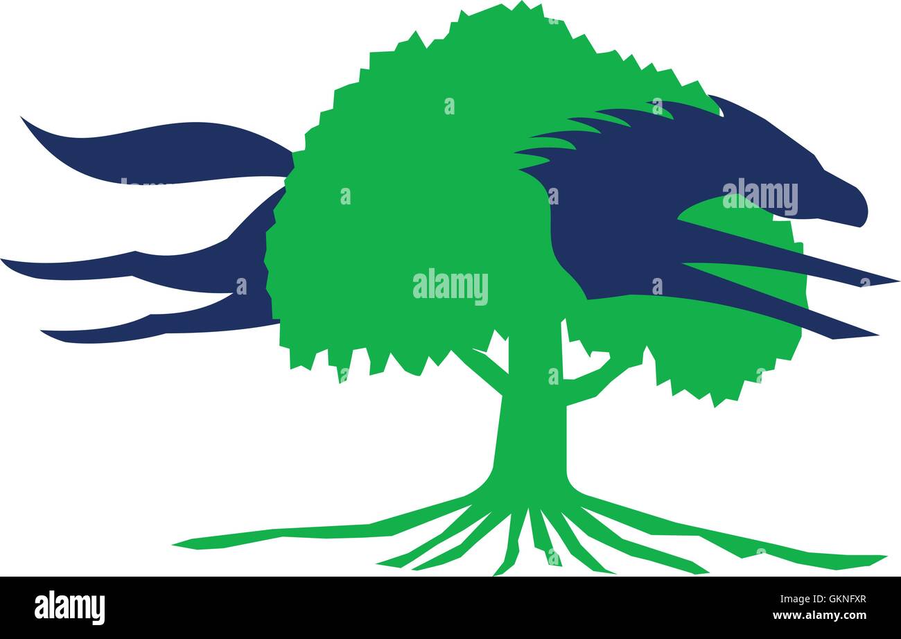 Detail Pohon Beringin Vector Png Nomer 25