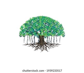 Detail Pohon Beringin Vector Png Nomer 26