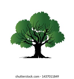 Detail Pohon Beringin Vector Png Nomer 29