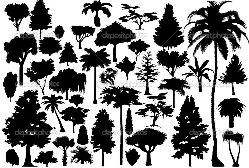 Detail Pohon Beringin Vector Png Nomer 34