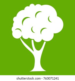 Detail Pohon Beringin Vector Png Nomer 39