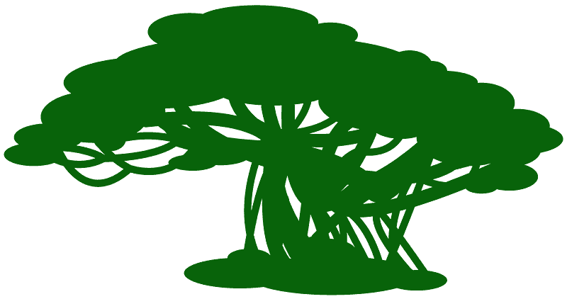 Detail Pohon Beringin Vector Png Nomer 43