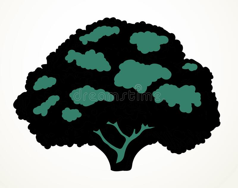 Detail Pohon Beringin Vector Png Nomer 44