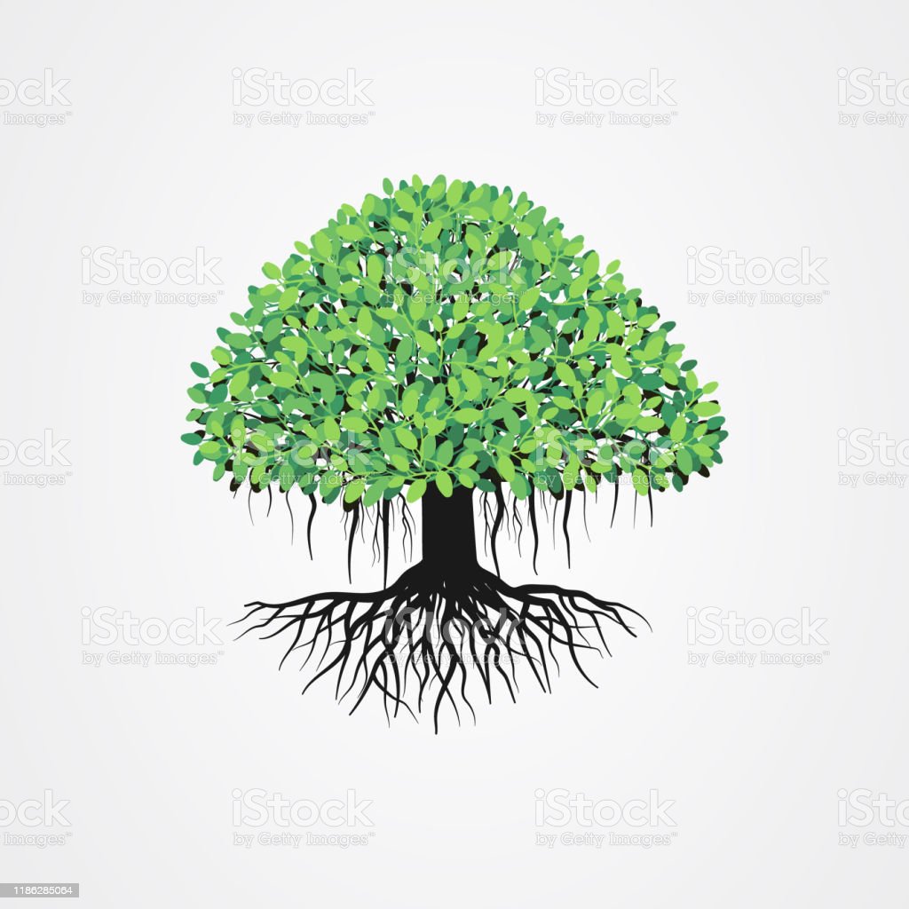Detail Pohon Beringin Vector Png Nomer 46