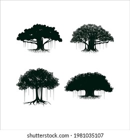 Detail Pohon Beringin Vector Png Nomer 47